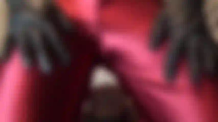 Señora vivian en pantalones de satén rojo brillante.