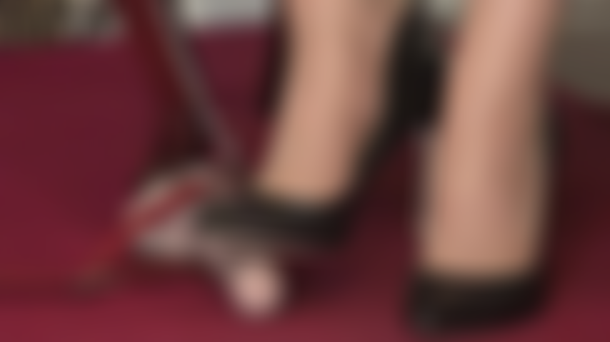 Mis pies de nailon superbrillantes con tacones de cuero lastiman tu pene de esclava. La idea de que te pisoteen, te pateen y te aplasten el pene con pies y tacones te debilita.