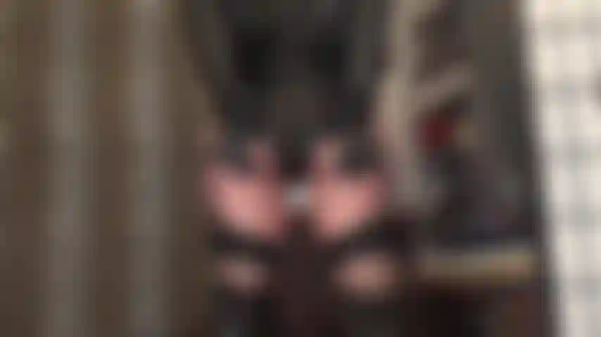 Adoración de culo y una paja simulada con guantes de cuero, shorts de licra de cintura alta, medias, ligueros y botas altas de cuero. Un atuendo al que definitivamente no podrás resistirte. Míralo una y otra vez hasta que se te acaben las bolas.