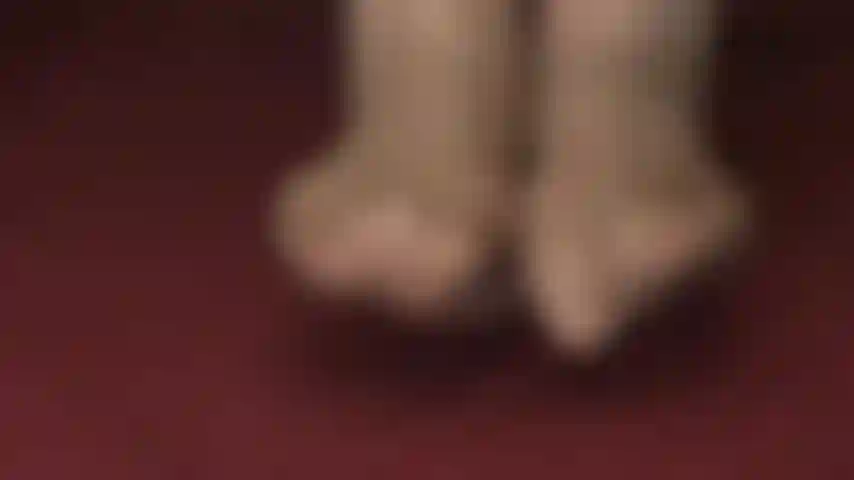 Mis pies en pantimedias color canela están cubiertos de saliva: saliva sabrosa gotea sobre los pies de tu diosa, mojando estos dedos de nailon.