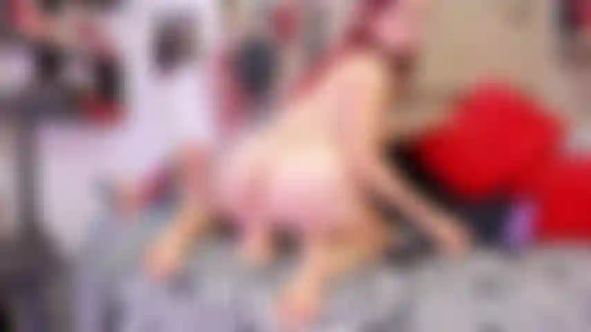 Me encanta el sexo anal ðð.