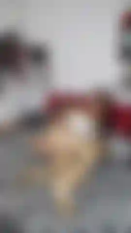 Cachonda anal con juguetes.