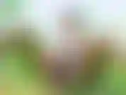 Juego con juguete al aire libre para correrme. Siénteme y controla mi juguete. Video al aire libre de mi corrida.