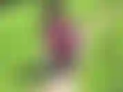 Tetas en publico! ¡Chupa juguete! Los leggins son fetiches.