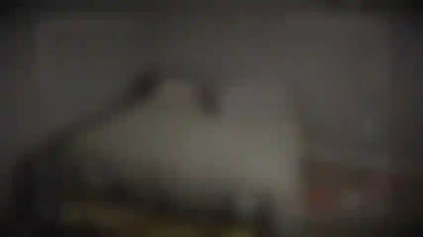 ¡Alguien me ha estado espiando! Noté que mi cámara de seguridad grabó algunas imágenes de mí en mi habitación relajándome y masturbándome después de un largo día. Ahora puedes ser una mosca en la pared de mi dormitorio!