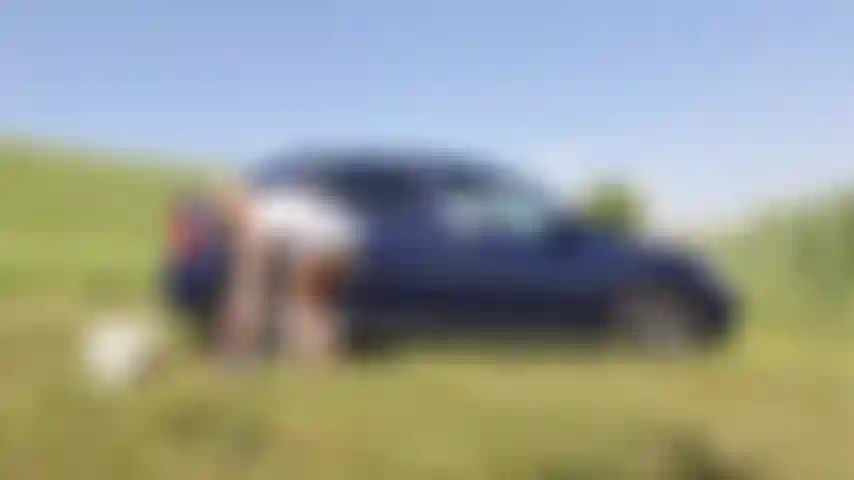 Fetiche del lavado de autos.