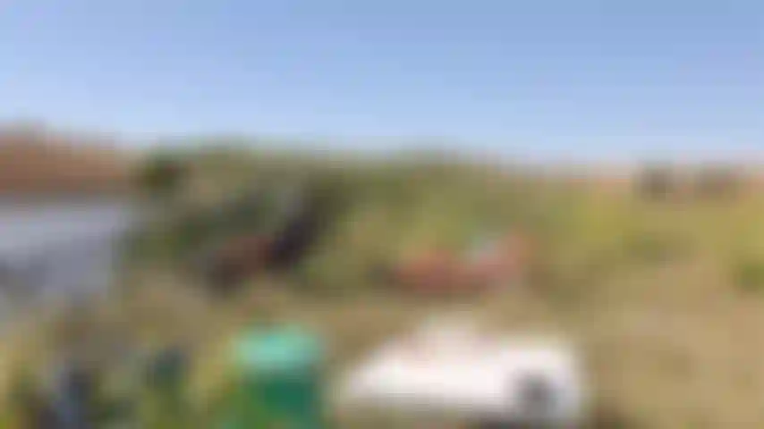 outdoor punishment, bondage, embarassed naked woman