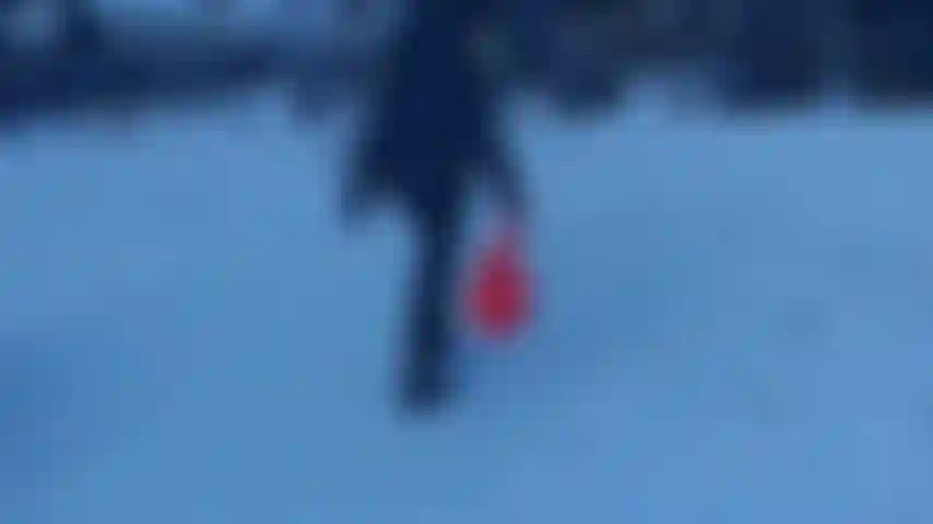 sliding on snow