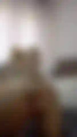 Mientras hago anal con mi dildo.