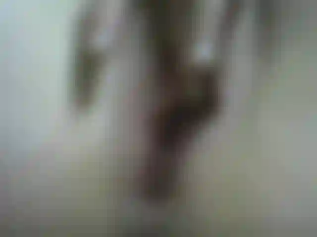 Cierro el coño con labios largos y lo froto hasta que se vuelve cremoso y orgásmico.