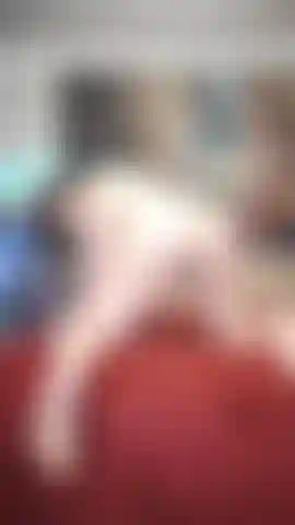 Déjame rebotar en él y luego lamerlo.