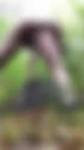 Consolador anal en el bosque.