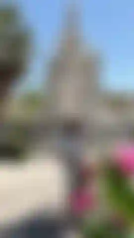 ¡Mira este video!