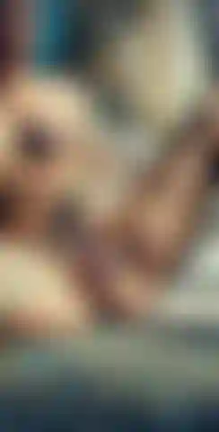 Juego de coño arcoíris.