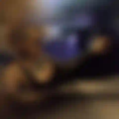 2021 Coño dildofuck.