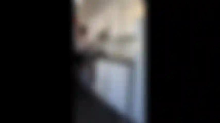 " Cliente espeluznante", una llama a su novio para quejarse del cliente espeluznante que acaba de entrar. Su comida y aplasta su bollo de pan bajo sus talones!