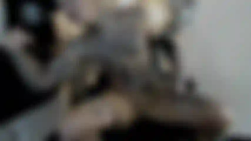 LEON Flexing Session