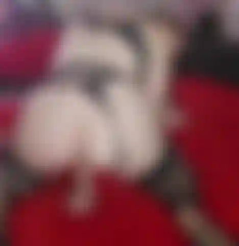 Riding a 9 inch dildo.