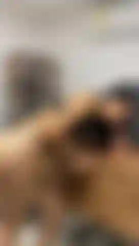 Mamada en el escritorio de mi jefe mientras él no está.