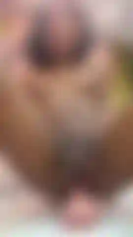 ¡¡¡Te monto!!!+Anal.