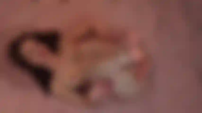 Diosa peluda provocativa.