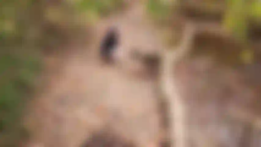 Regreso a squirt creek. Mira a esta milf gorda y tatuada follarse con los dedos su coño peludo hasta que arroja varias ráfagas de semen de niña en el arroyo de abajo.