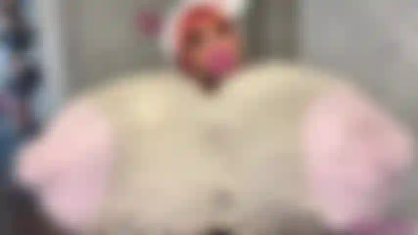 Mega Boobs Pillow Worship