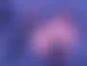 Mira mi show privado.