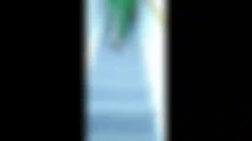 Látex de hiedra venenosa, adoración de pies de diosa. Al bajar las escaleras me siento para presentar mi piel, piernas y pies pálidos y suaves. Me quito los tacones de aguja, adoro mis pies descalzos, mientras presento cada pie a la cámara, las plantas arrugadas terminan con joi de cuenta regresiva.