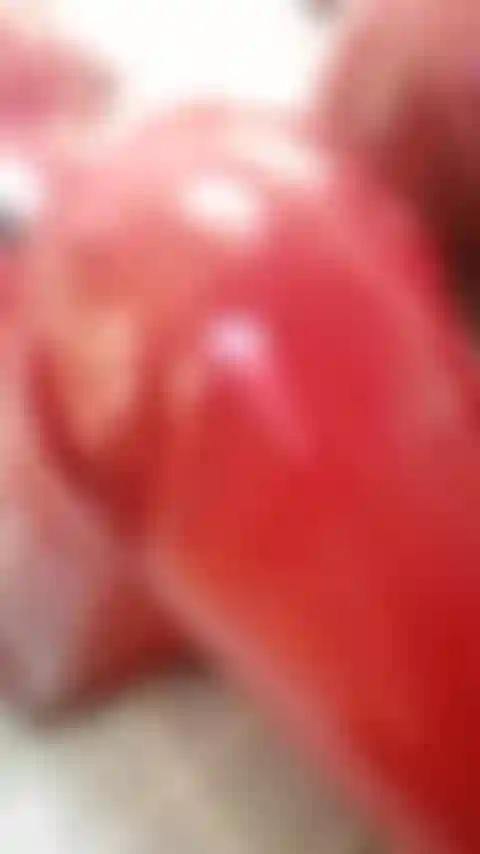 Agárrate fuerte pvc rojo versión corta digitación coño.