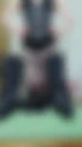 Amante del corsé negro. Termina con joi cuenta regresiva. Medias braguitas de rejilla, lenceria, botines stiletto.