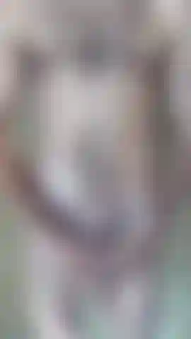 BIG COCK IN THE SHOWER