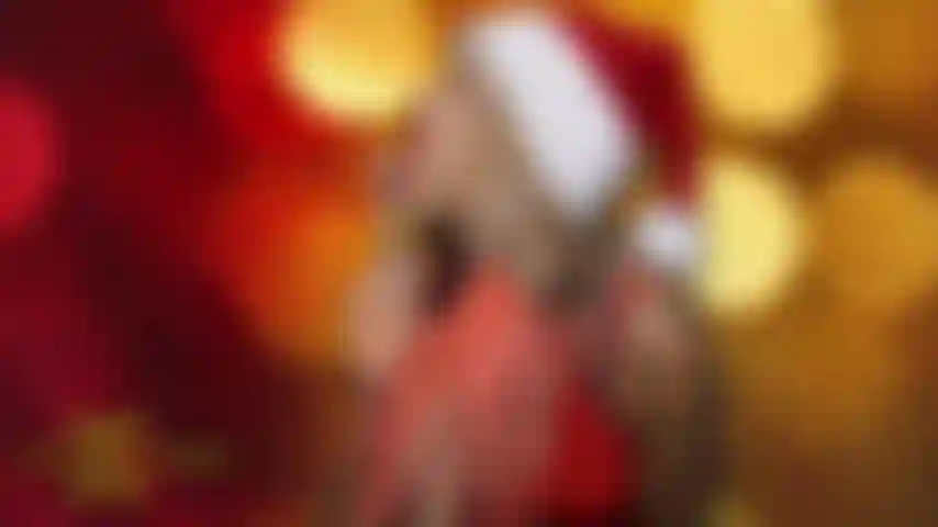 Navidad con un enorme pene negro con arnés! Bbc.