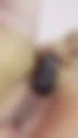 Fucking me hard with machine and domi in my pussy omg!!!