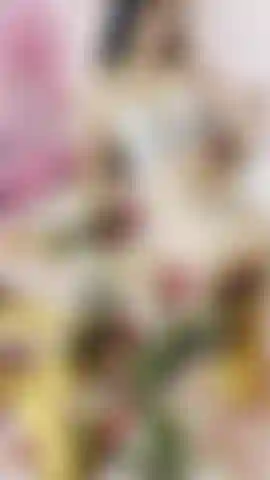 Bienvenida primavera.