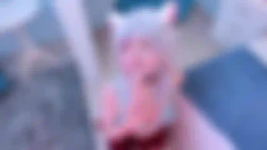 Me gusta cumplir tus fantasias!!