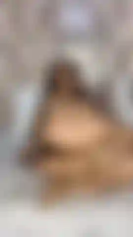 Mi culo apretado está siendo follado por este gran consolador.