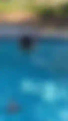 15 Minutos de follando y chupandole el torso a mi amigo isaac en mi piscina.