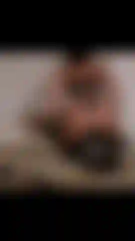 Un espectáculo oscuro de noche para el orden.