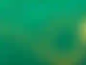 Mientras esperaba que una compañía montara su set, su chico de bts se acercó a mí. Estaba como qué estaba haciendo y estoy seguro de que quería algún tipo de entrevista, pero en lugar de eso, decidí chupar la polla y follarla.