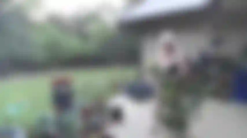 Jugando entre mis plantas en el patio con un bikini negro de dos piezas, mostrando mis tetas, mi barriga, mi culo y mi coño extendido en el columpio del porche.