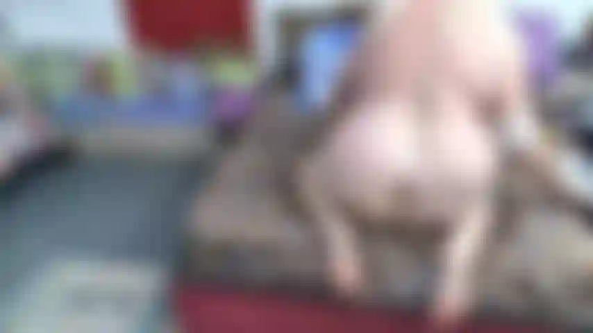 REVERSE COWGIRL RIDDING TOY IN PUSSY, SOLES OF FEET, MOANING ONLY