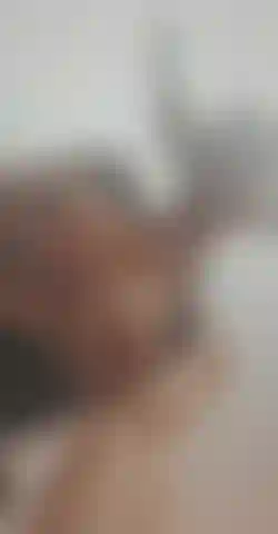 Dándote una vista más cercana.