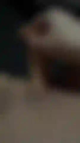 Coño más un consolador.