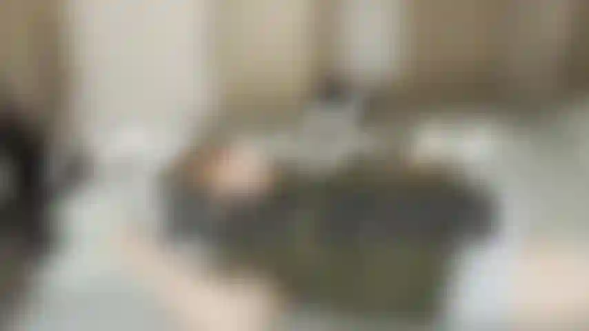Toma una siesta conmigo y observa cómo me doy vueltas y ronco fuerte.