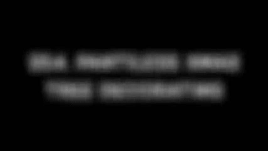 254. Decorando árboles de navidad sin paneles.