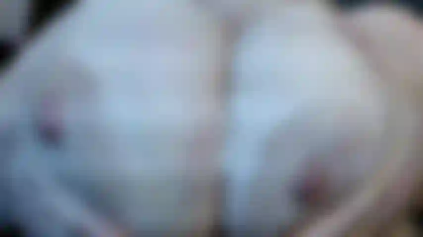 308. Te hablo sucio mientras te muestro estas enormes tetas naturales de milf con un ardiente video de aliento para correrse, ¡ideal para los amantes de los pechos!