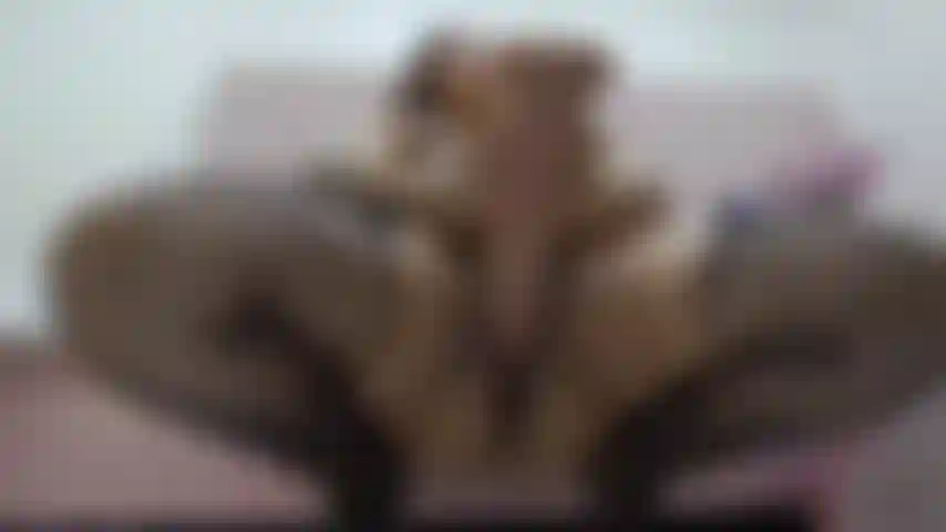 Coño grande y gordo!