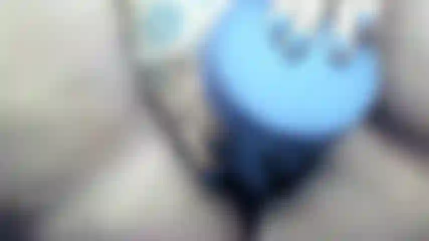 Juguete hentai arruina a mi gatito!!!