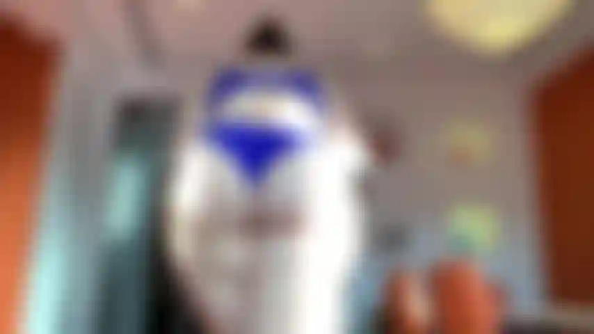 Si eres fan de los culos este video es para ti.